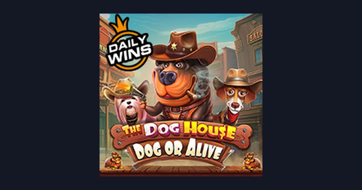 Panduan Slot Online The Dog House Dog Or Alive: Tips dan Strategi Terbaik